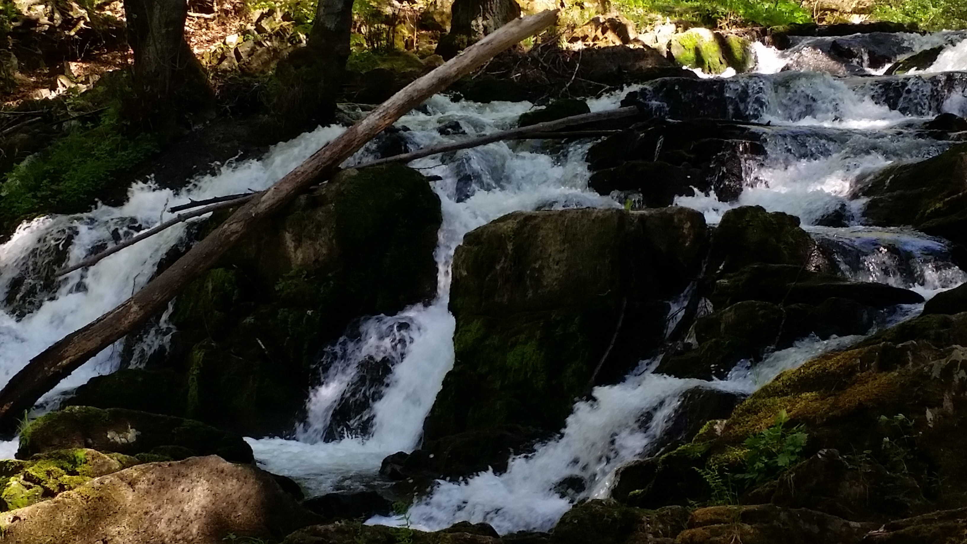 SelkefÃ¤lle bei MÃ¤gdesprung