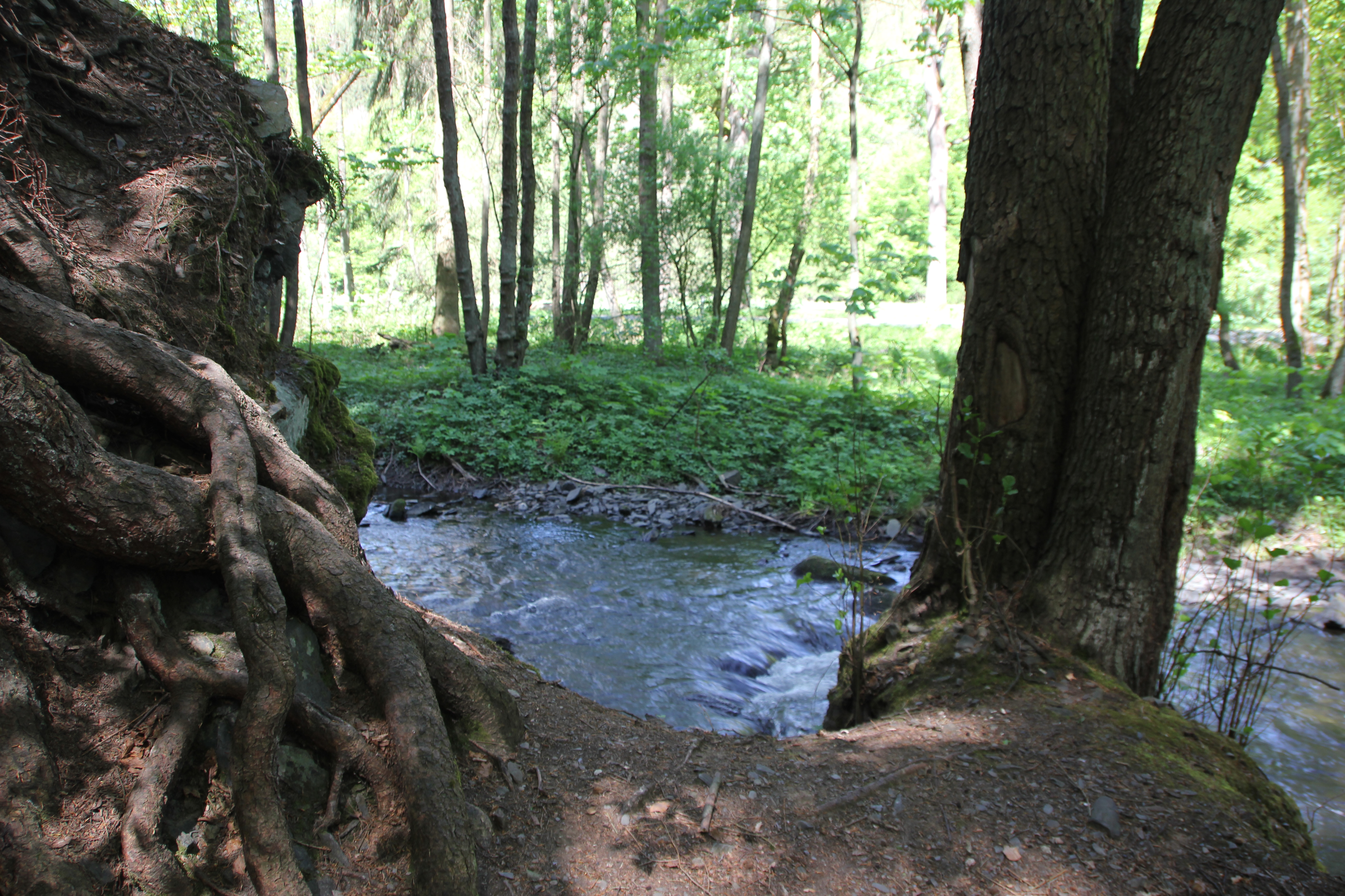 Selketal bei MÃ¤gdesprung